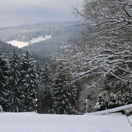 Suedhang By Interhome Ferienhaus Winterberg